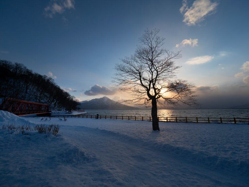 scenic view in winter at sunset time with view of trees without leaves at Lake Shikotsu, Chitose, Hokkaido, Japan.