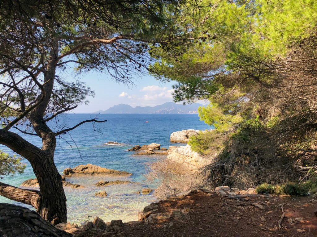 Island Sainte-Marguerite, Cannes, France - stock photo