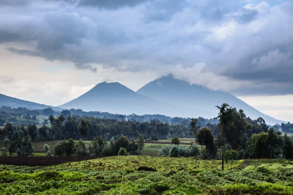 Virunga volcano national park landscape with green farmland fields in the foreground, Rwanda