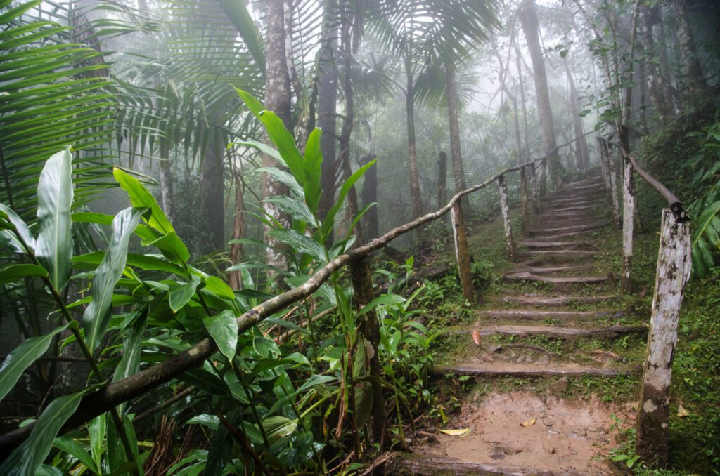 Trail in the Sierra Maestra, Cuba