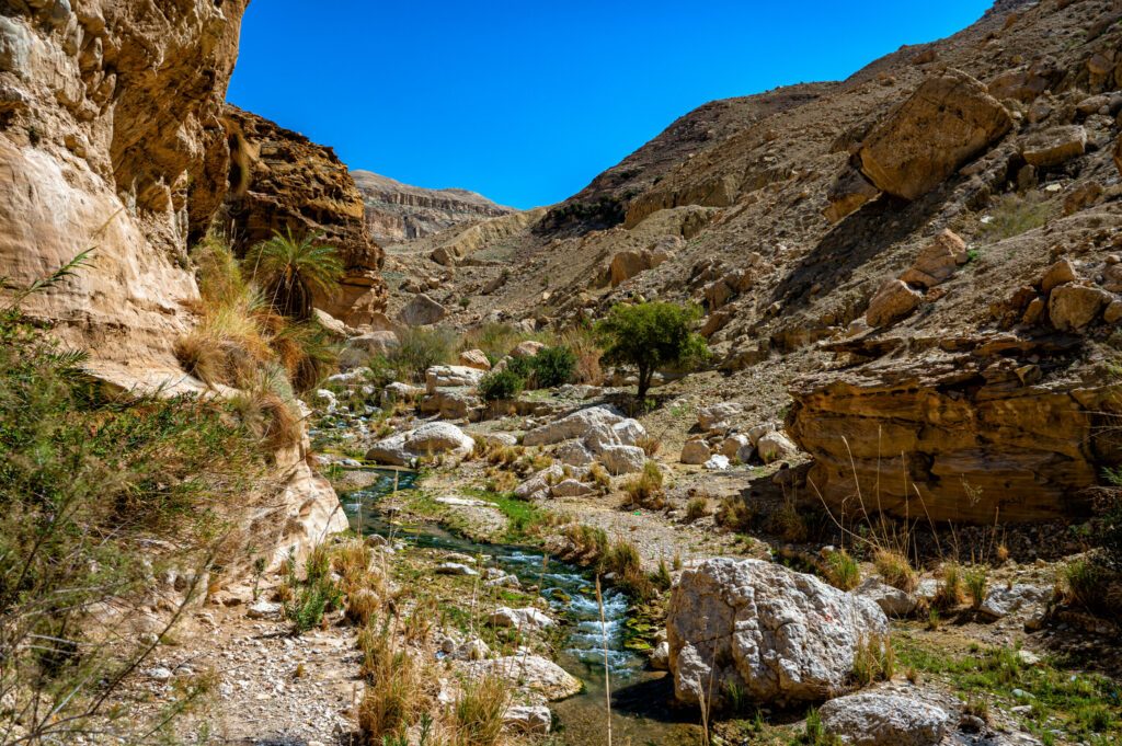 Paysage à Wadi Bin Hammad
