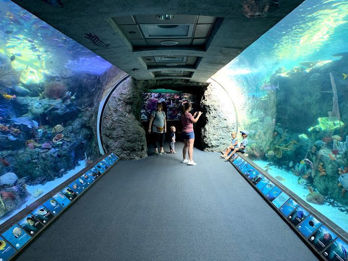 Aquarium of the Pacific à faire à Los Angeles