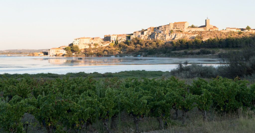 Paysage à Bages