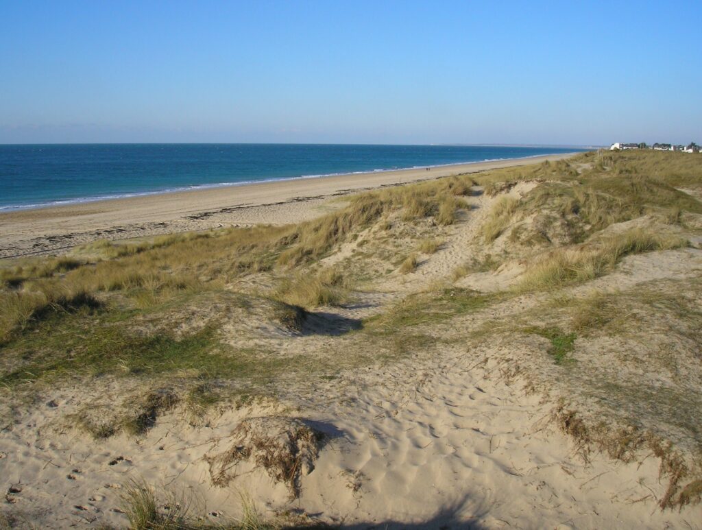 Les dunes de Bréville-sur-Mer autour de Granville