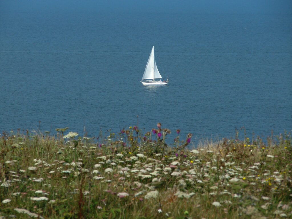 cote d'opale