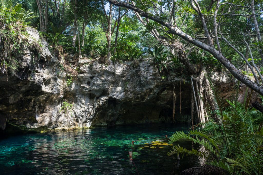 Gran cenote, Tulum, Yucatán, Mexique