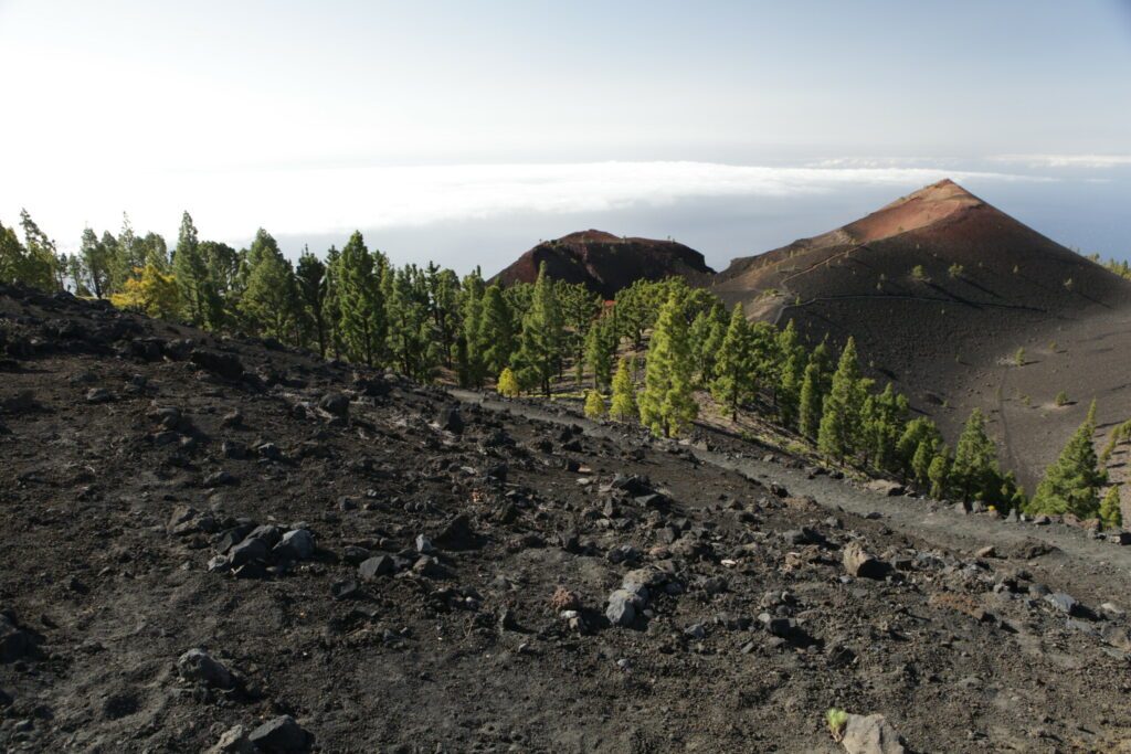 La route des Volcans , ile de la Palma, Canaries