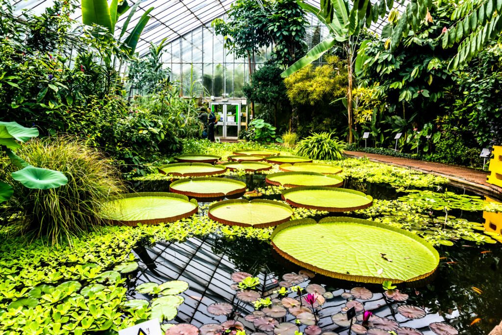 Royal Botanic Garden Edinburgh