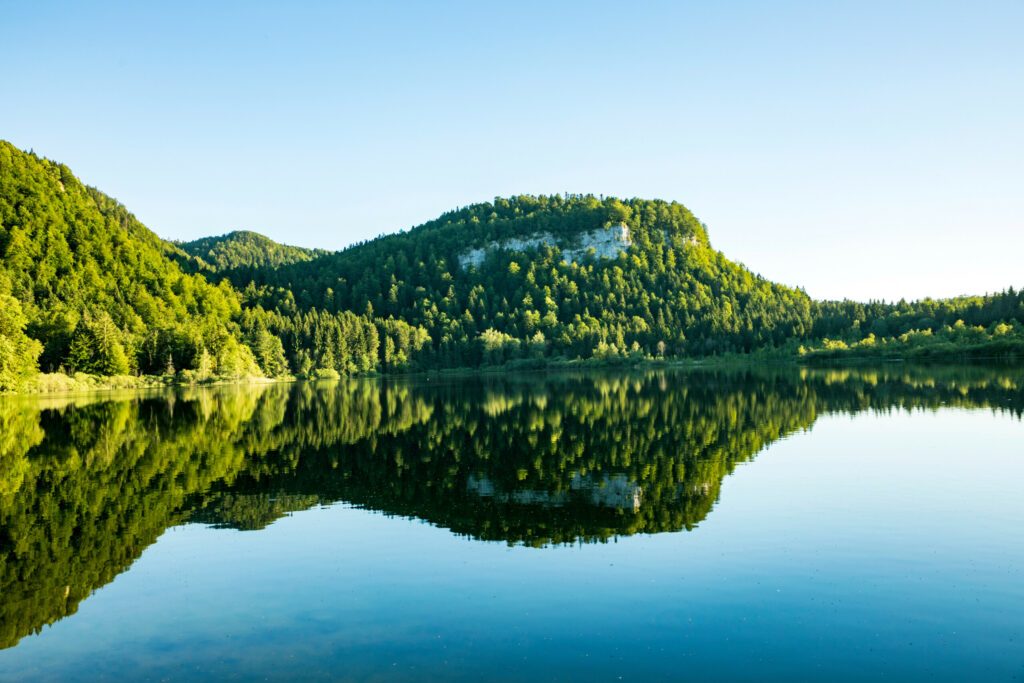 scenic reflection of Forest in the clear lake at Bonlieu