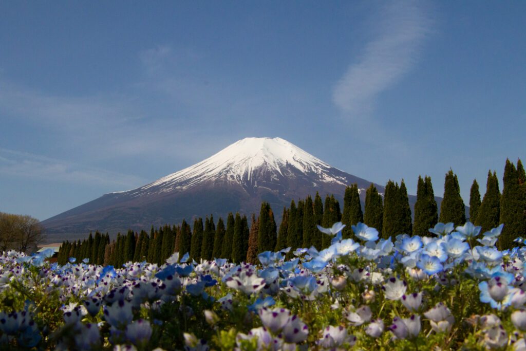 mont fuji