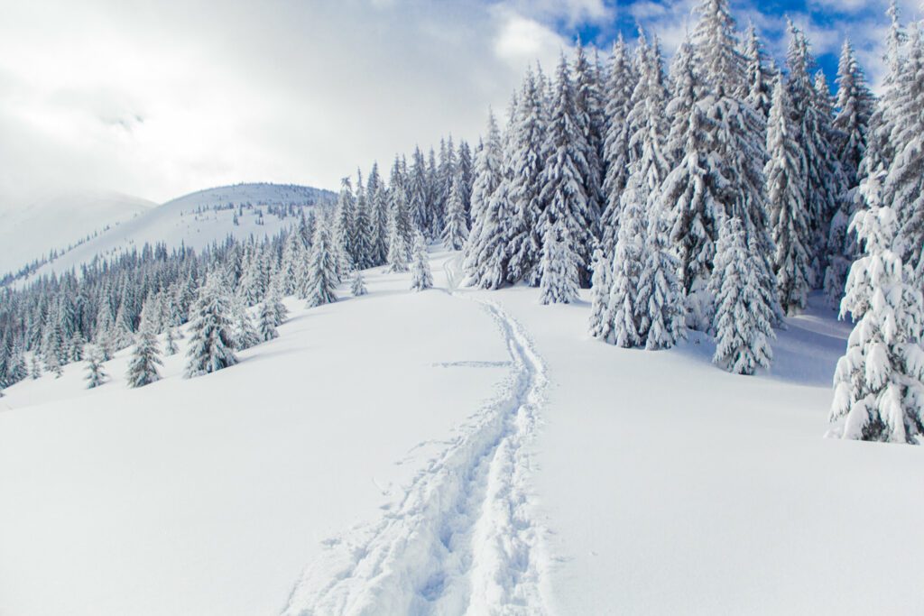 Path in the snow in the snow-capped mountains during the winter climbing to the Ukrainian peak Hoverla