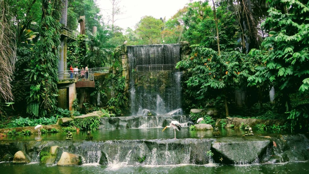 Kuala Lumpur Bird Park surrounding