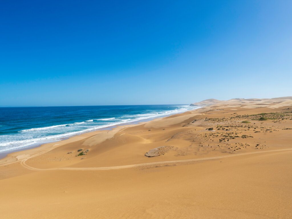 Vue panoramique des dunes d'Addo