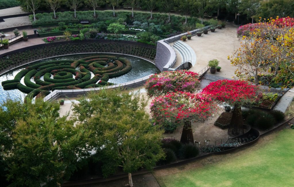 Manicured beautiful bougainvillea art and pond with concentric bushes at the Getty Center in Los Angeles