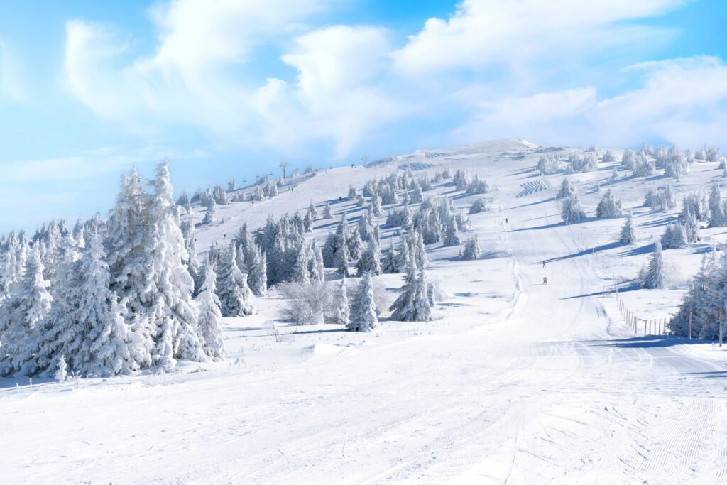 Les monts Kopaonik en Serbie