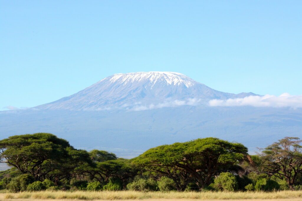 Kilimandjaro and forest, with eternal snow, in Kenya Tanzania, Africa.