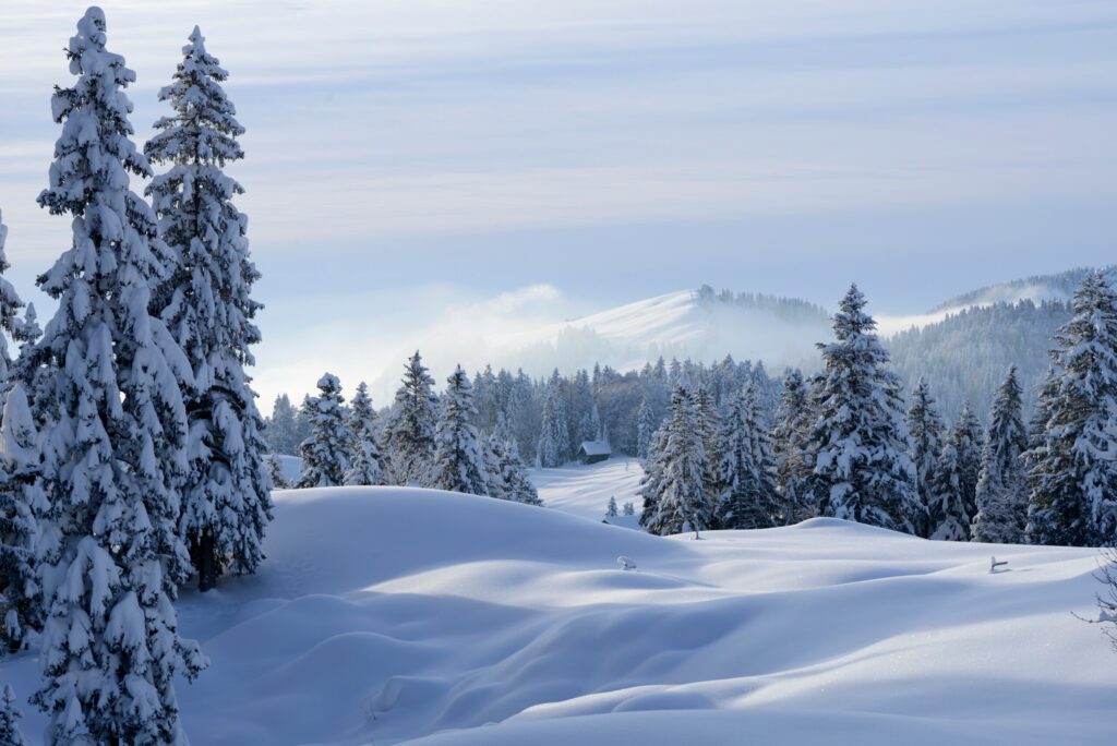 paysage alpin de montagne enneigé - Alpes Suisse