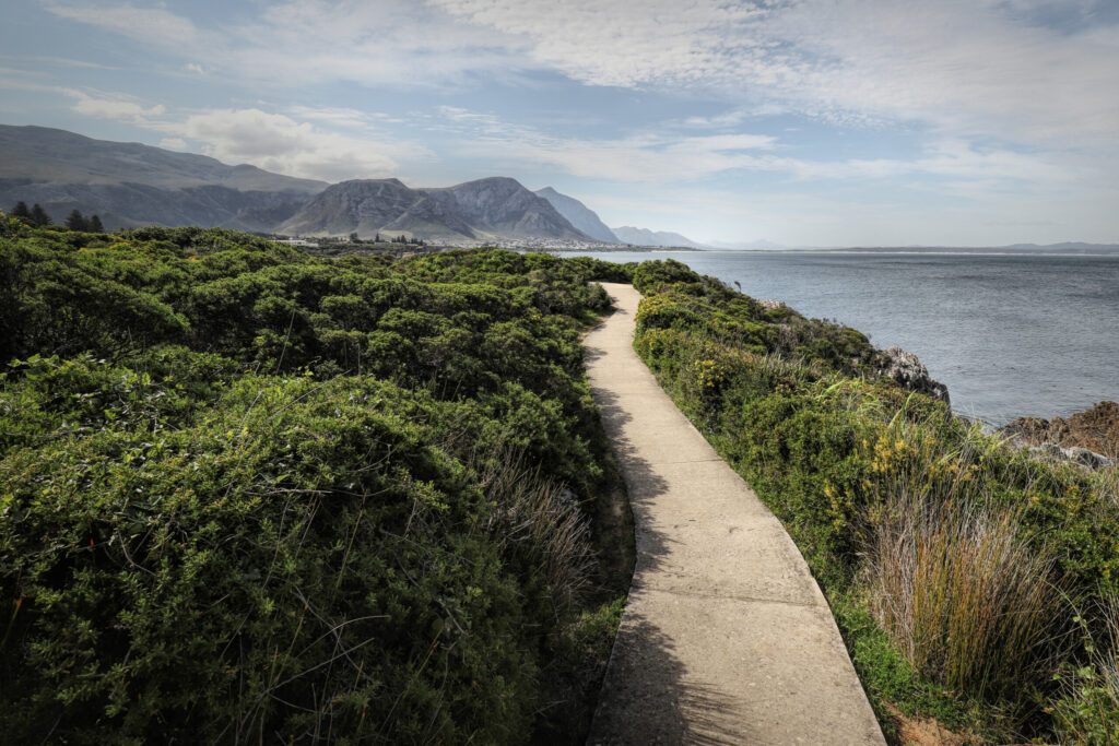 Ocean and coast landscape in Hermanus, South Africa