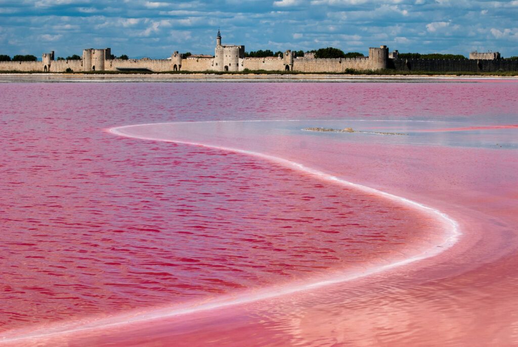 Saline di Aigues-Mortes