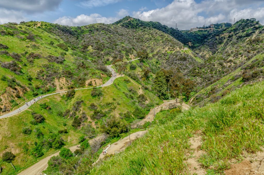 Hiking trails in Runyon Canyon, Los Angeles, CA.