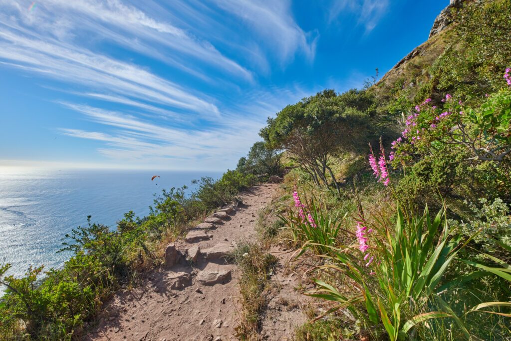 Beautiful mountain trail for hiking and adventure. Explore the rough terrain and mountainous beauty of the coast. Take a scenic journey in the isolated nature reserve of Table Mountain National park