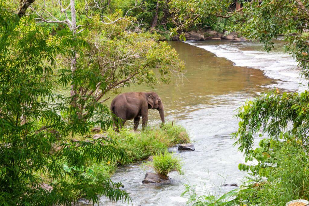 Tad lo waterfall in Southern Laos.