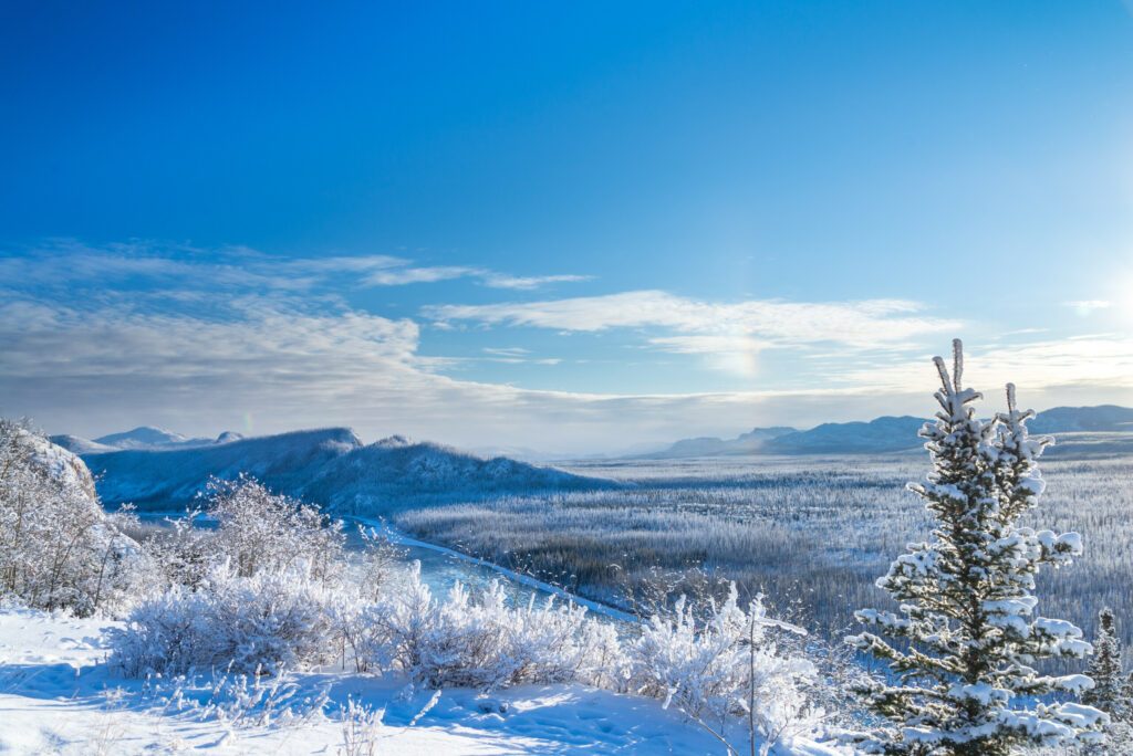 View of the Yukon wilderness during winter ground covered in snow on a beautiful sunny day with blue sky and clouds