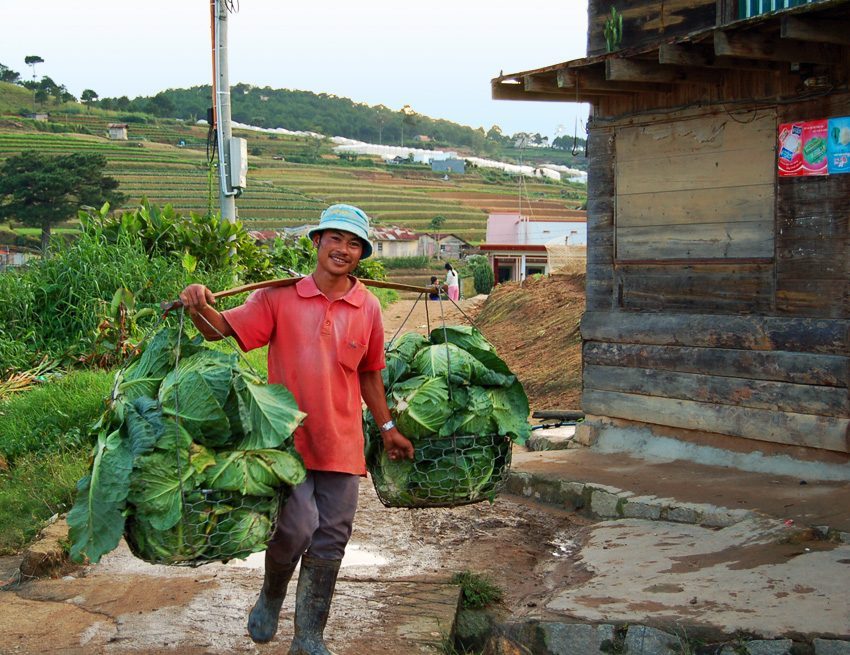 Sourire vietnamien