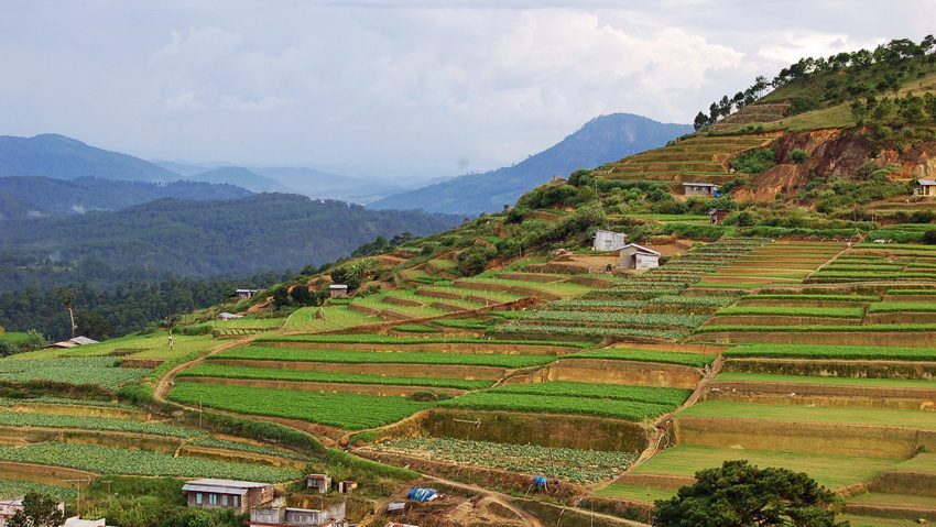 Environs de Dalat