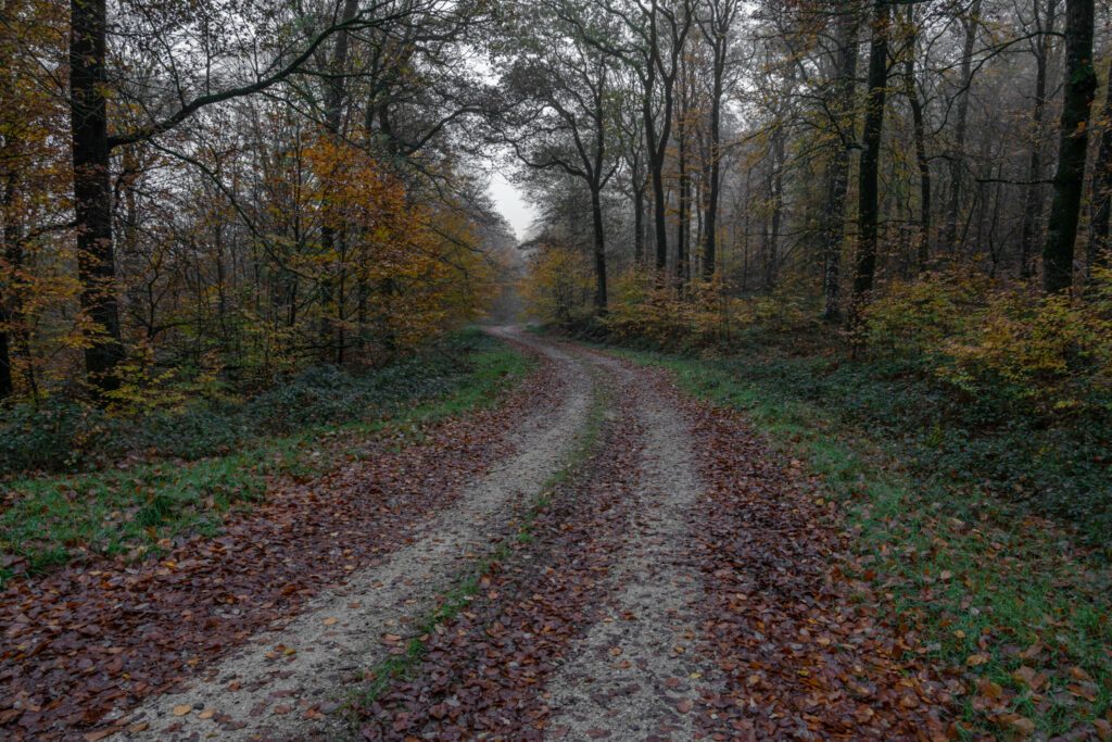 Alençon, France - 11 26 2022: Panoramic view of the Ecouves forest