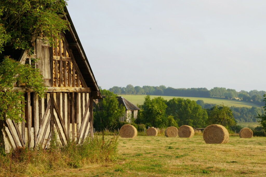 Paysage Campagne 490