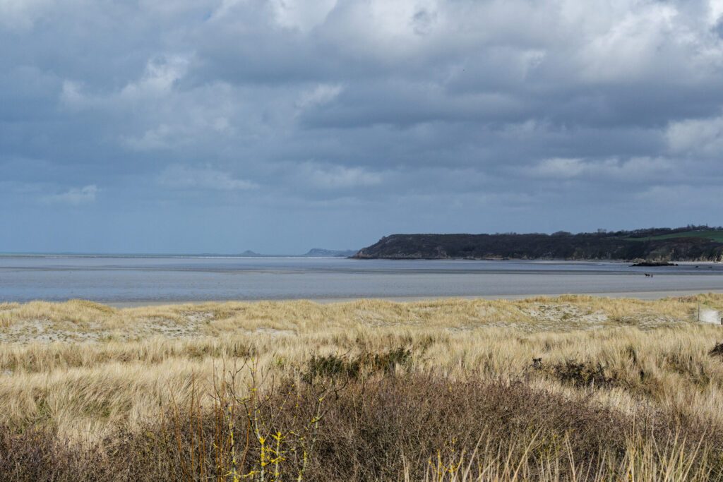 réserve naturelle de la baie de saint brieuc à marée basse