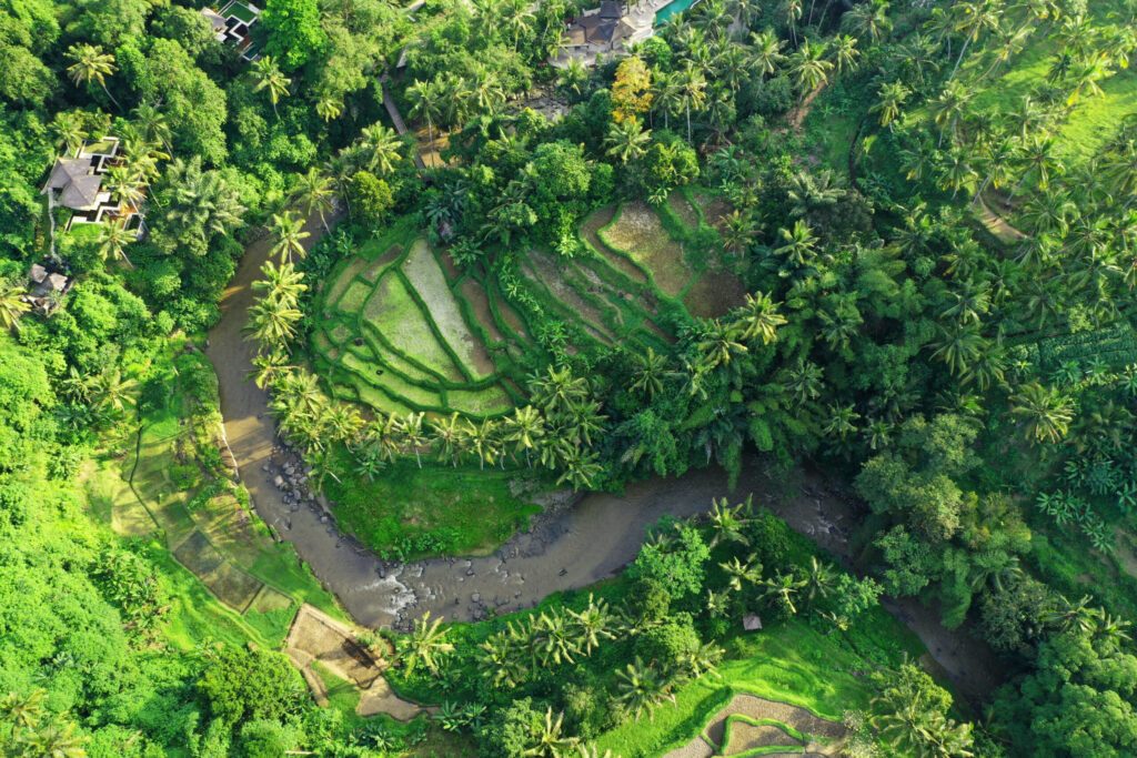 Aerial view of beautiful rice terraces and Ayung River, Sayan Village, Ubud, Bali.