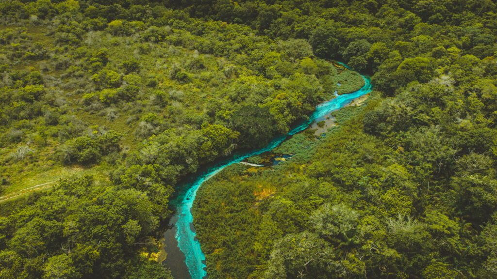 blue water river of Bonito, Mato grosso do Sul - Sucuri River,  Bonito, MS - river with blue crystallinewater.