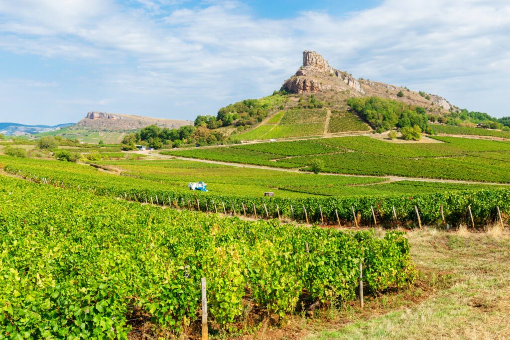 La Roche de Solutré with vineyards, Burgundy, France