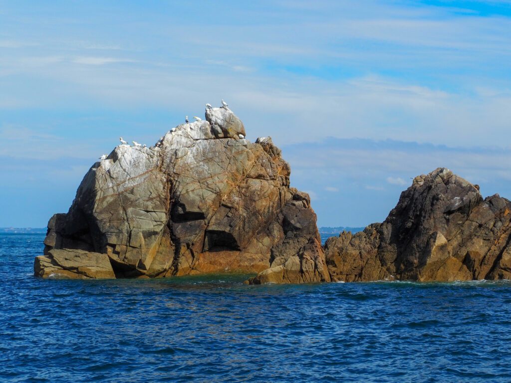 Rocher avec fous de Bassan, archipel des sept îles, Perros-Guirec