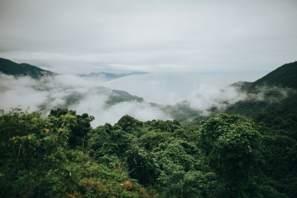 majestic landscape in beautiful mountains with green vegetation, Hai Van Pass, Vietnam