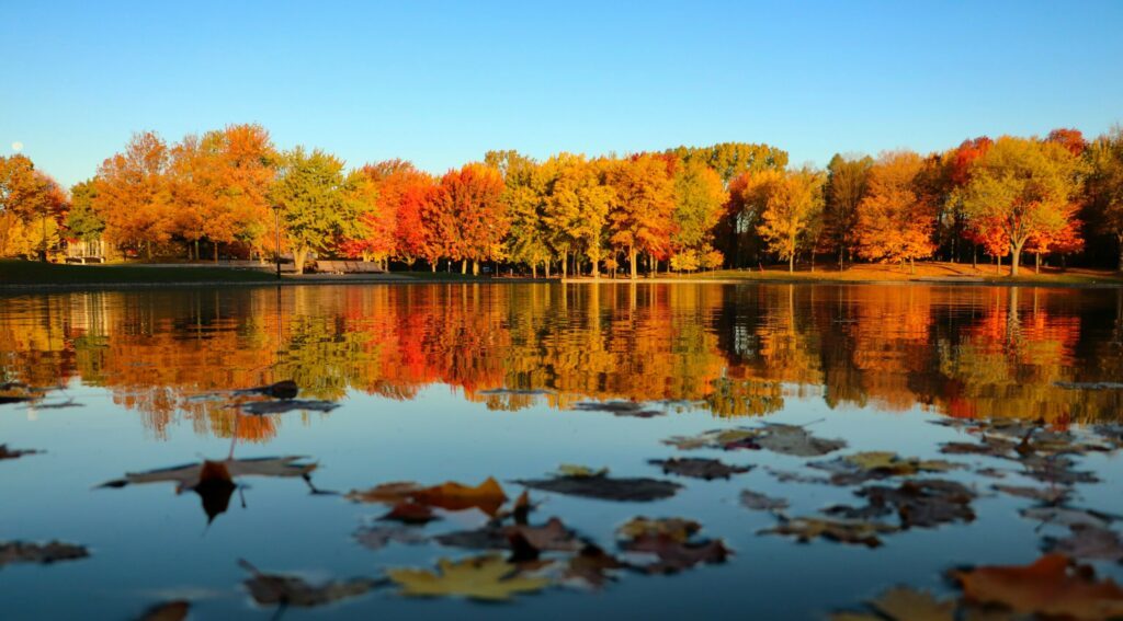 Lac aux castors de Montréal en automne