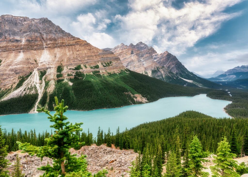 Le lac Peyto, paysage typique canadien