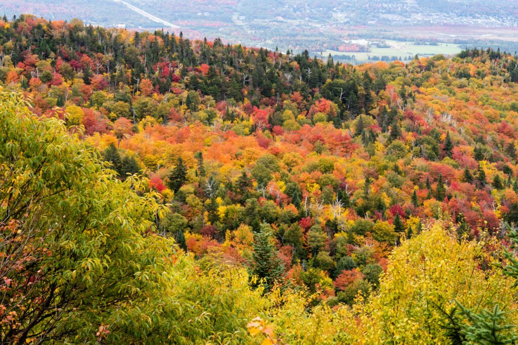 Beautiful autumnal colors in the Mont-Orford national park, Canada