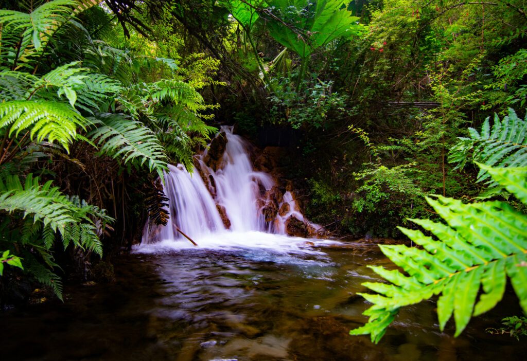 Caida de agua en el Parque Pumalin