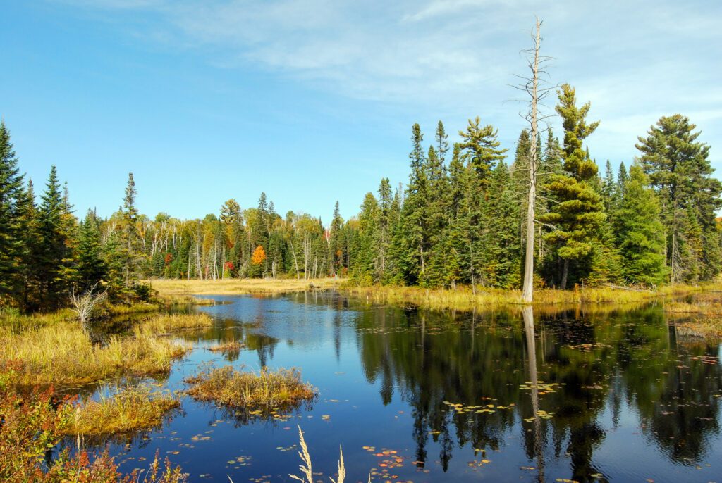 Le parc provincial Algonquin près de Toronto