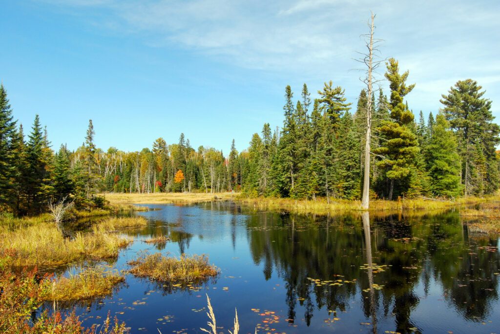 Indian summer at a lake in Algonquin Provincial Park near Toronto in autumn, Canada