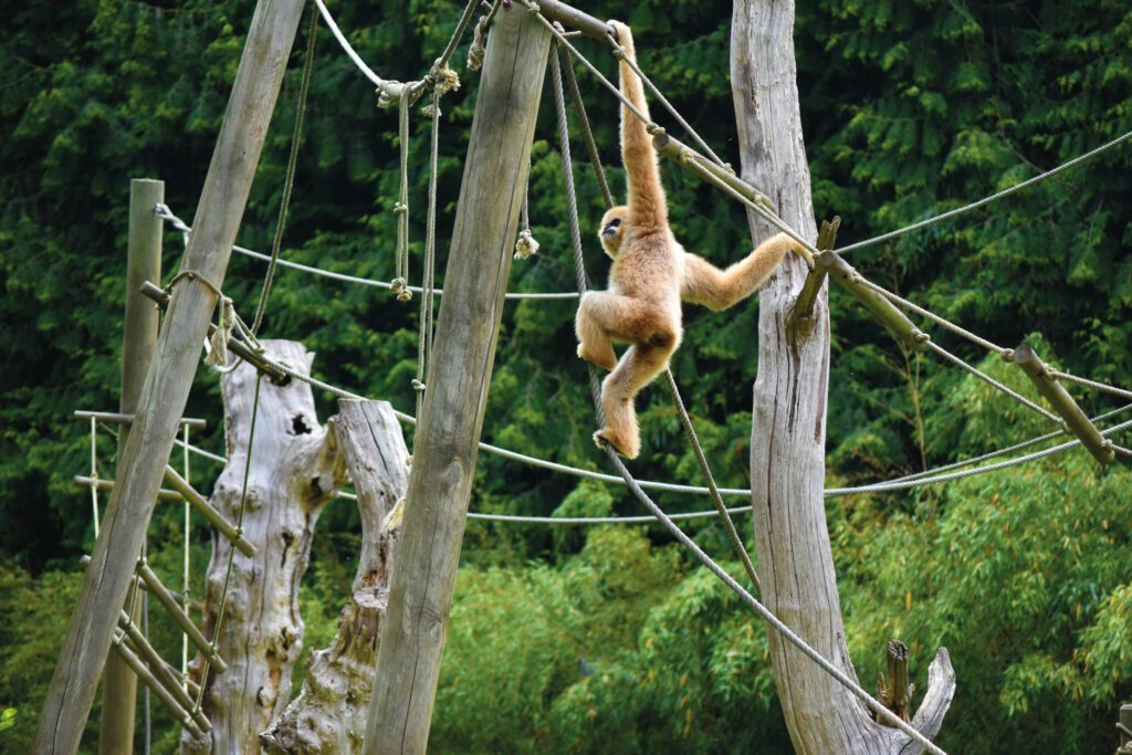 Zooparc de Trégomeur