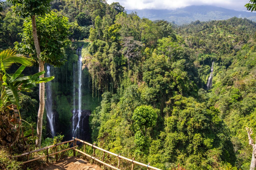 The Sekumpul Waterfall, a large waterfall in the middle of the jungle that falls into a deep green gorge. Trees and tropical plants at Bali's highest waterfall.