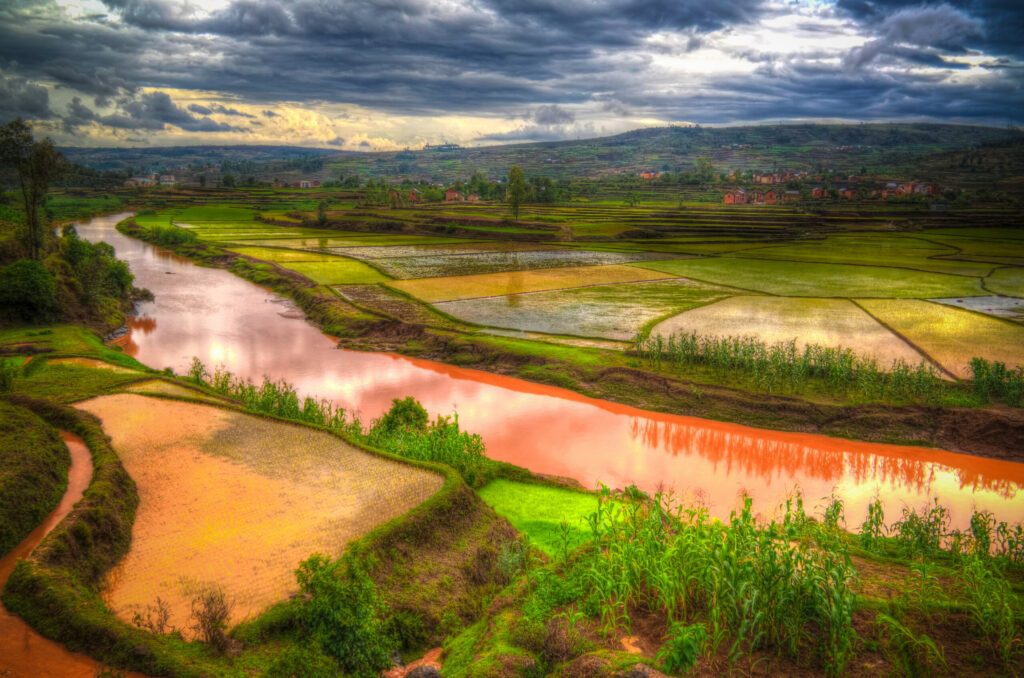 Landscape with the rice fields and Onive river at Antanifotsy,Madagascar