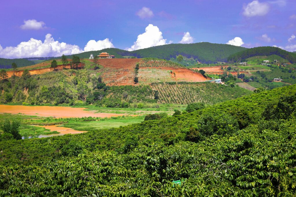terracotta land and coffee plantations of Dalat to vietnam
