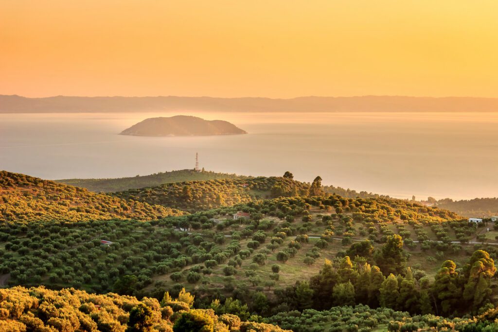 Hazy, golden hour view of olive plantation above the sea and distant turtle island in Greece
