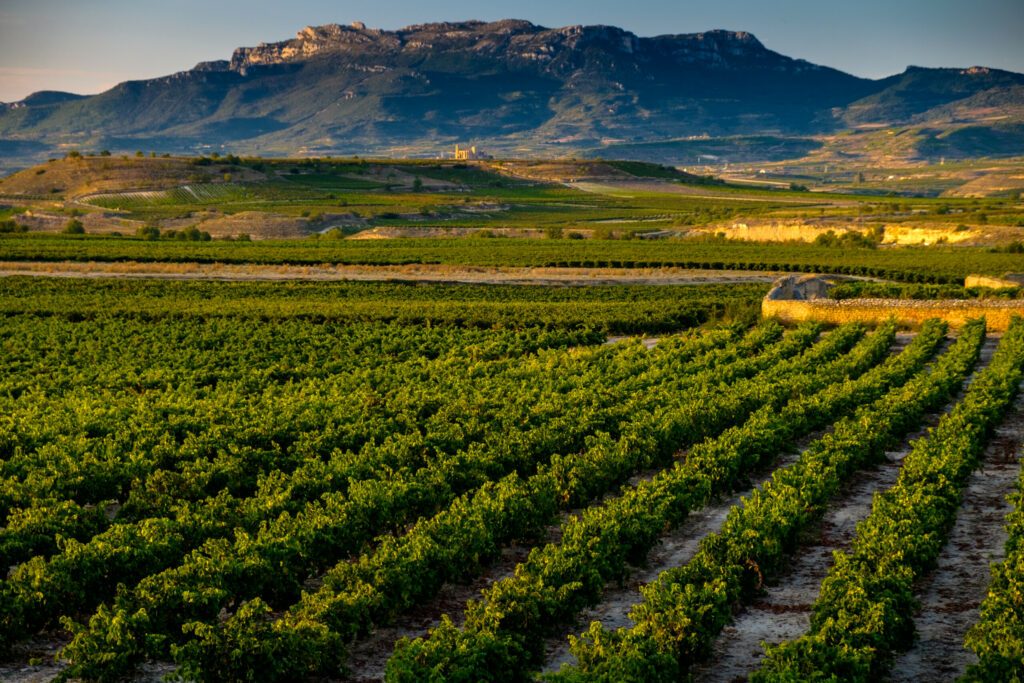 San Vicente de la Sonsierra, Rioja Alavesa, Spain