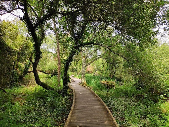 Le marais de Trestel autour de Perros-Guirec